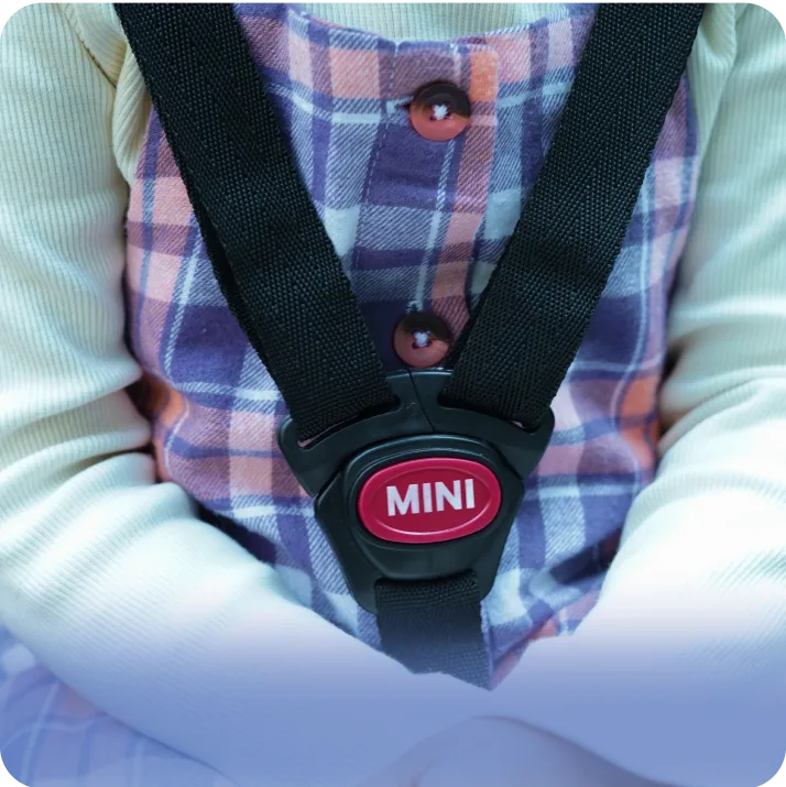 Y shaped seat belt